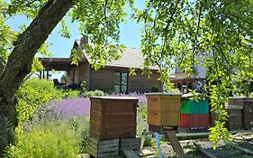 Agroturystyka u Joli